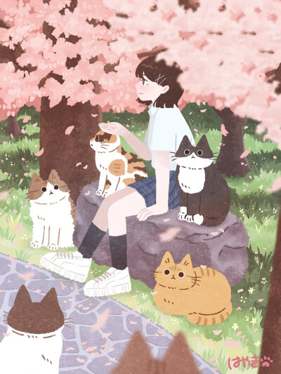 樱花下的猫
