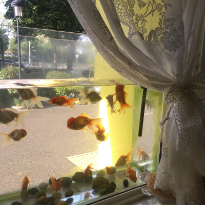 探店
