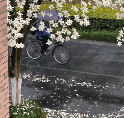 朋友圈背景图

