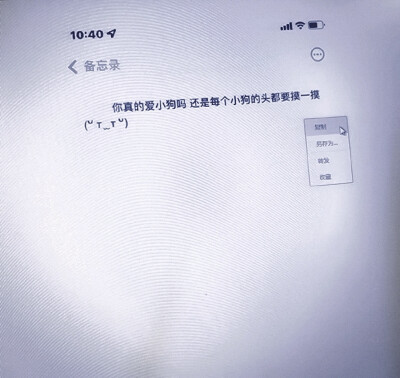 听ˇ海哭的声音