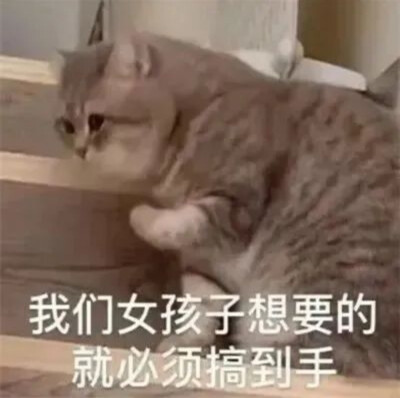 我们女孩子想要的就必须搞到手