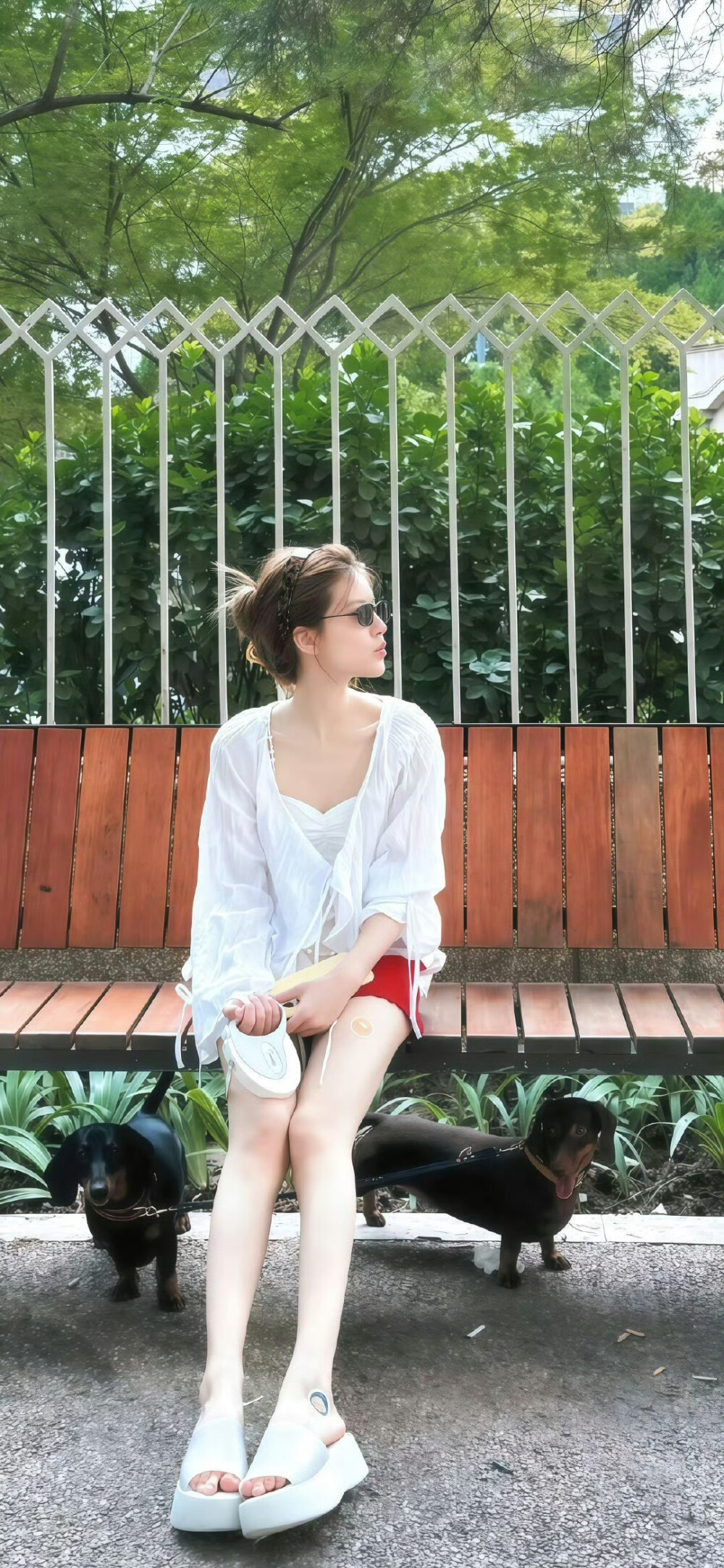 赵露思-背景图.