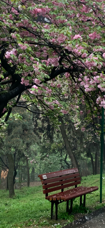 壁纸