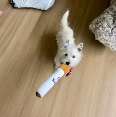 背景图