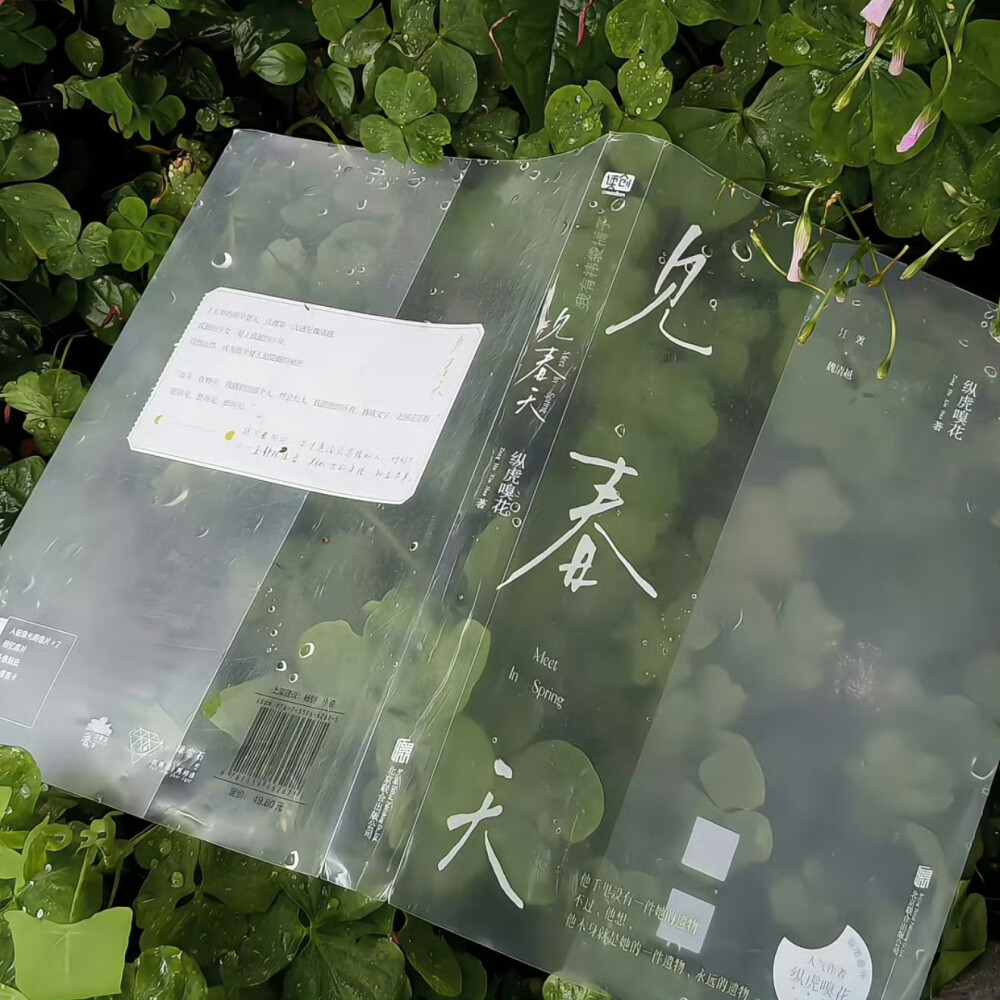 背景图
