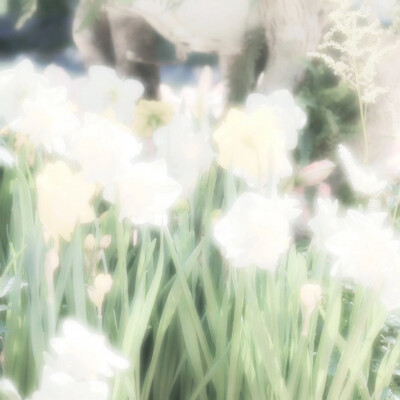 卢昱晓