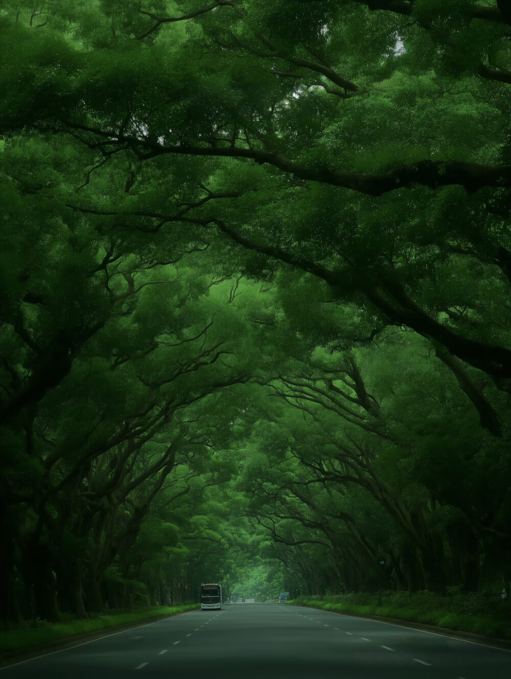 壁纸