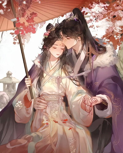 谢景行x沈妙