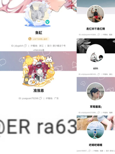 赛飞儿