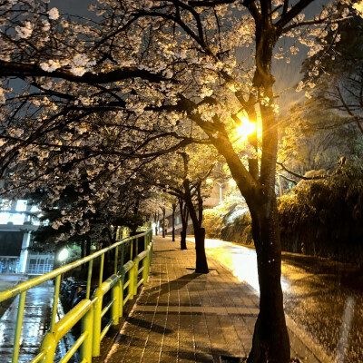 背景图