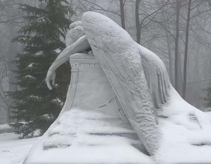 ଘ(੭ˊᵕˋ)੭* ੈ✩