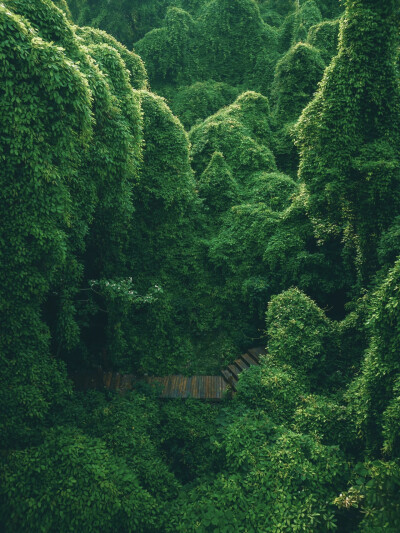 壁纸