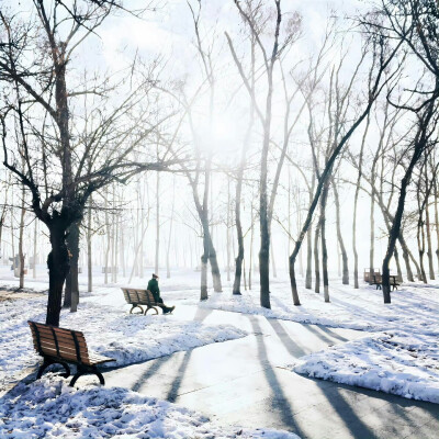 背景图