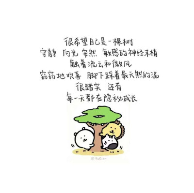 背景图