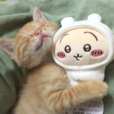 （＾ω＾）