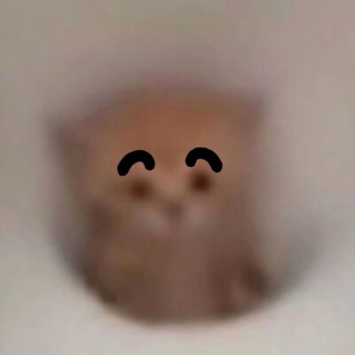 （＾ω＾）