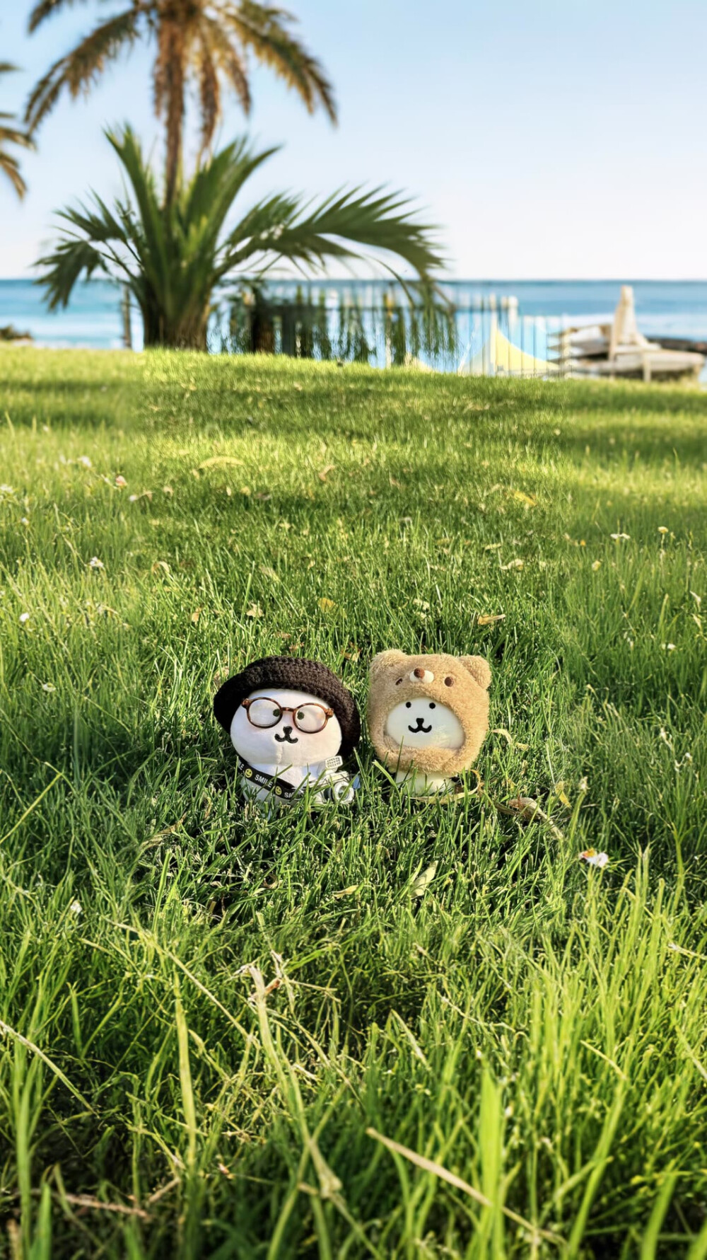 自嘲熊手机壁纸