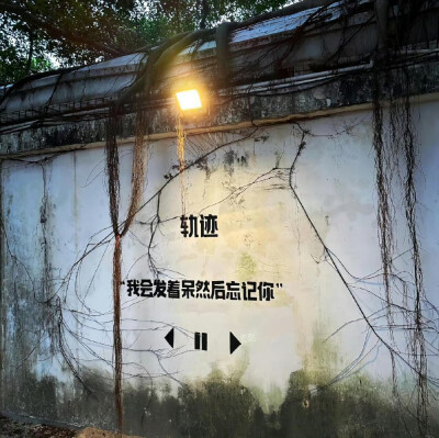 小众背景图.