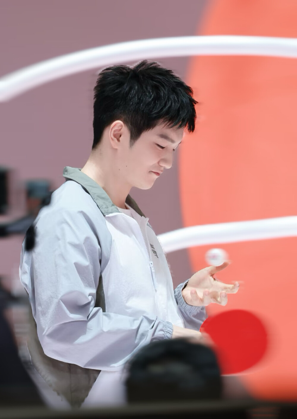 万饼万饼万万饼