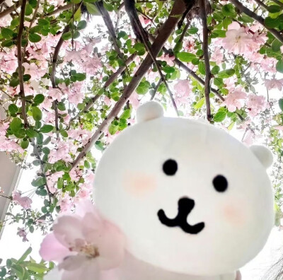 自嘲熊头像