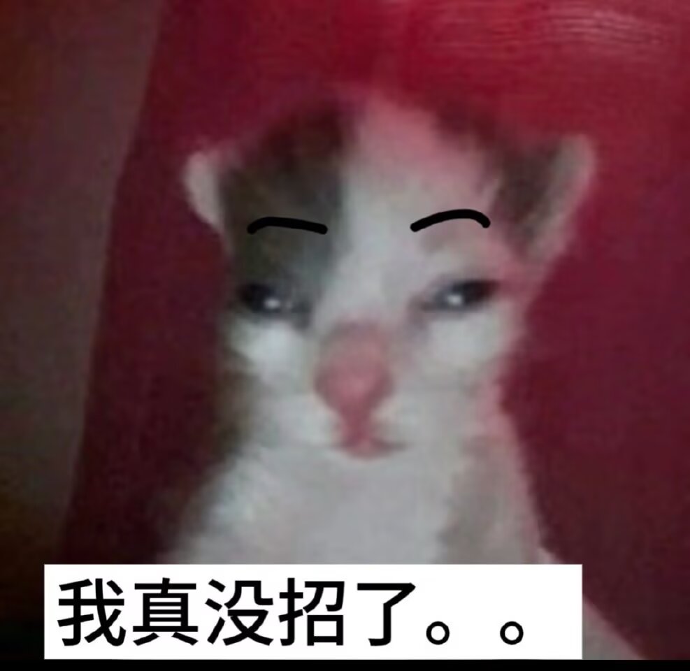 喵喵喵