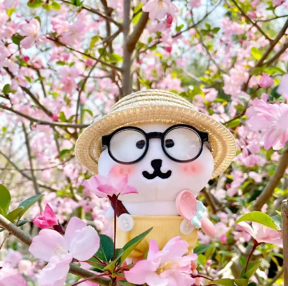 自嘲熊头像
