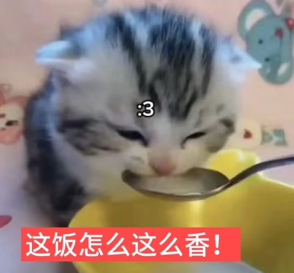 喵喵喵