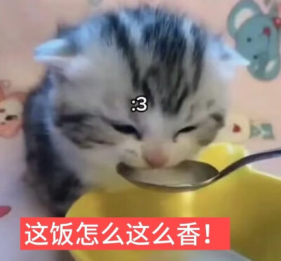 喵喵喵
