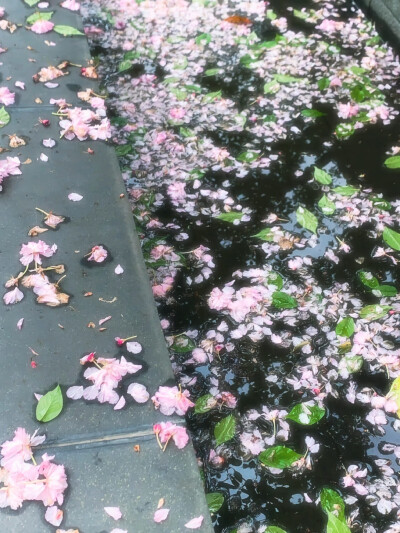 壁纸