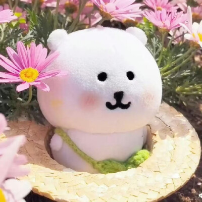 自嘲熊头像