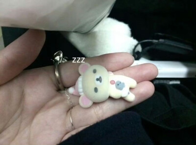 世界是喧嚣的彩