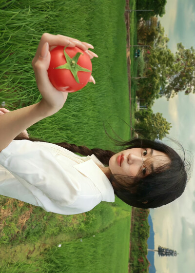 壁纸