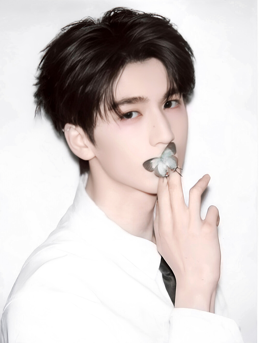 张凌赫＼＼\\٩( 'ω' )و //／／