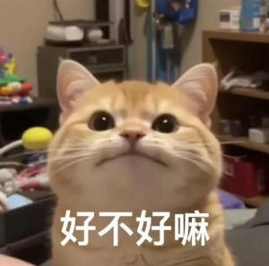 表情包