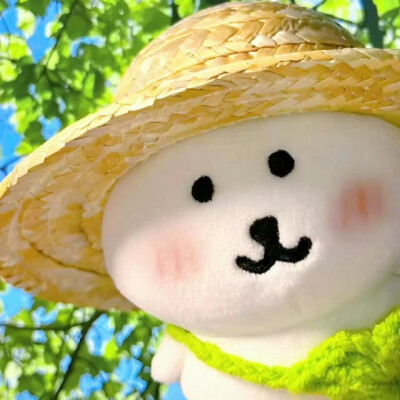 自嘲熊头像