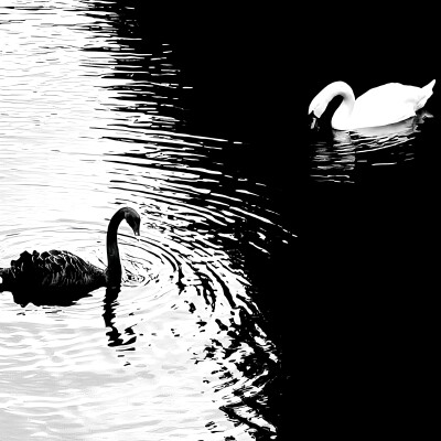 张凌赫＼＼\\٩( 'ω' )و //／／