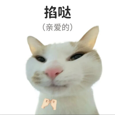 表情包