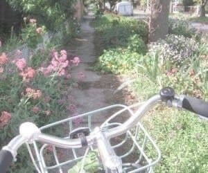 世界是喧嚣的彩