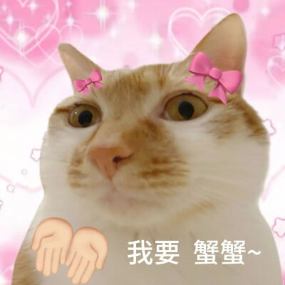 表情包