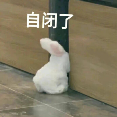 表情包