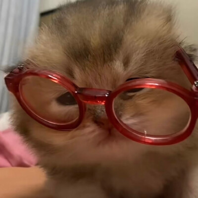 (^з^)