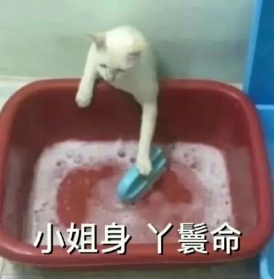 表情包