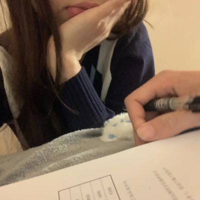 左航t