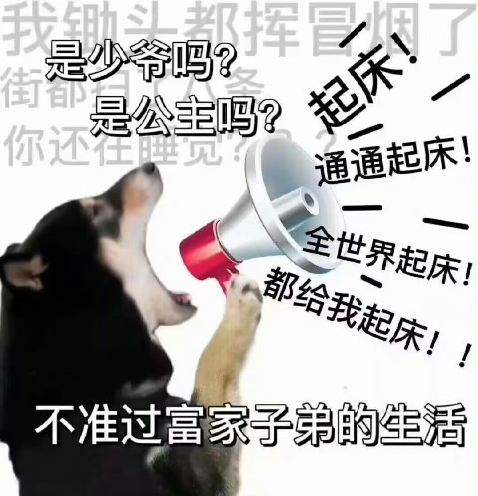 表情包