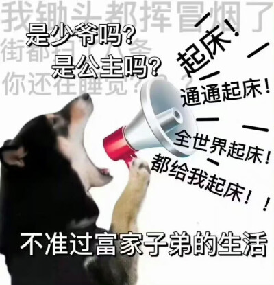 表情包