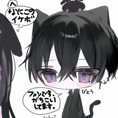 侵删