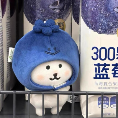自嘲熊水果系列ins头像