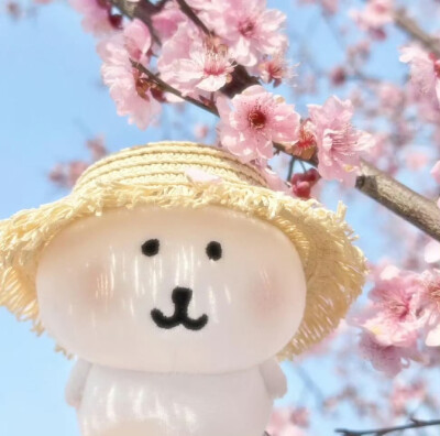 自嘲熊头像