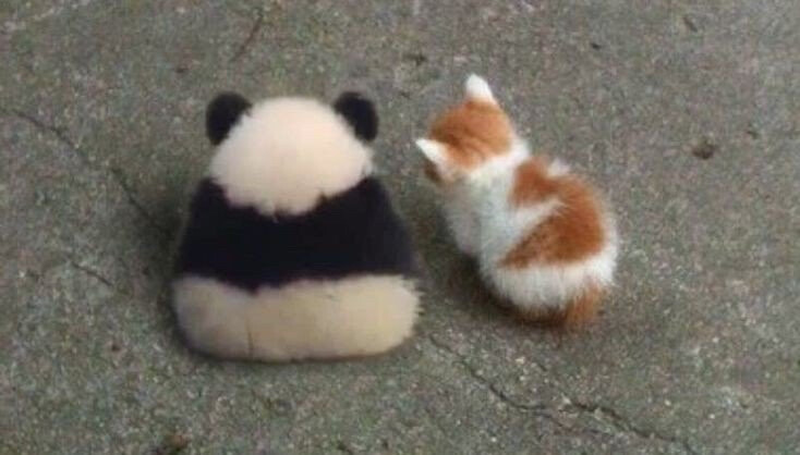 世界是喧嚣的彩