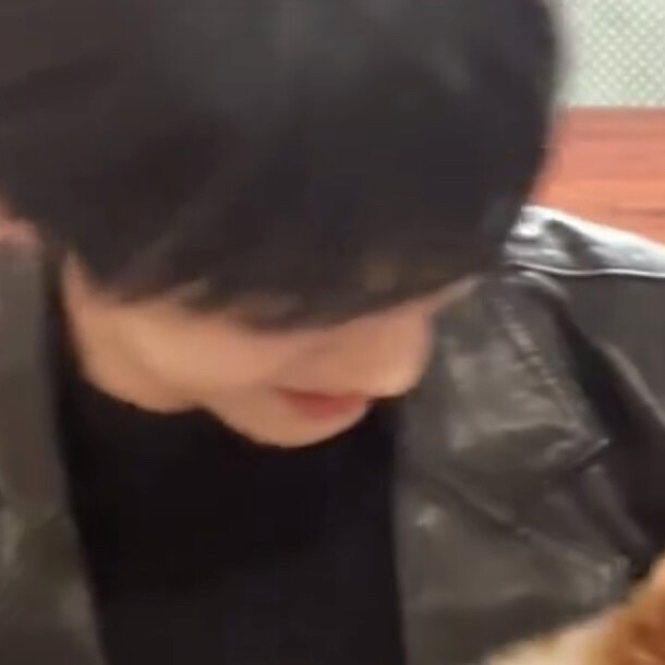 画面里有两只狗